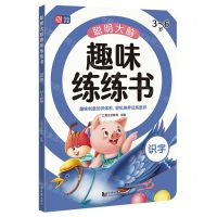 [N]聪明大脑趣味练练书(识字3-6岁)-9787560891538