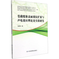 受载煤体表面裂纹扩展与声电效应理论及实验研究