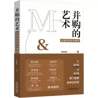 并购的艺术(交易的架构与策略)