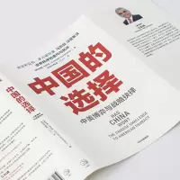 中国的选择(中美博弈与战略抉择)