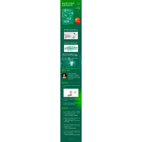 量子心灵与社会科学