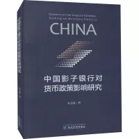 中国影子银行对货币政策影响研究