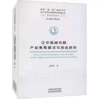 辽中南城市群产业集聚模式与效应研究