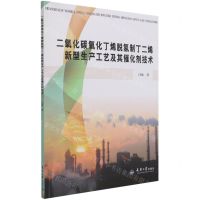 [N]二氧化碳氧化丁烯脱氢制丁二烯新型生产工艺及其催化剂技术-9787561869901