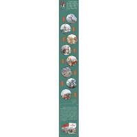 少年读资治通鉴(5汉朝)/少年读史系列