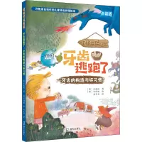 牙齿逃跑了 : 牙齿的构造与坏习惯