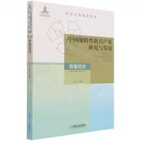 [N]中国战略性新兴产业研究与发展(智慧经济)-9787111642244