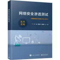 网络安全渗透测试