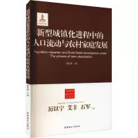 新型城镇化进程中的人口流动与农村家庭发展