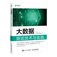大数据测试技术与实践(全彩印刷)