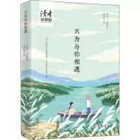 只为与你相遇