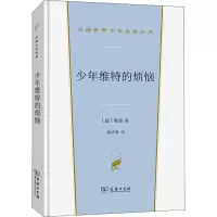 少年维特的烦恼