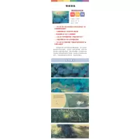 荷塘月色