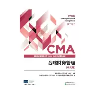 战略财务管理(中文版)