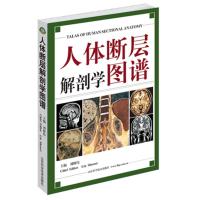 [M]人体断层解剖学图谱-9787533132958