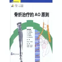 [M]ZD骨折治疗的AO原则-9787508029467