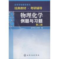 物理化学例题与习题(第二版)/高等学校教学用书