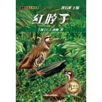 [M]红脖子(新语文课外书屋动物小说大师系列)-9787560095929