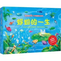 “生命是什么”小手翻翻立体书·蜉蝣的一生