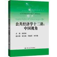 公共经济学十二讲:中国视角(高等学校经济管理类主干课程教材)