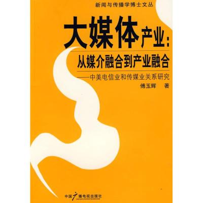 [M]大媒体产业-9787504355805