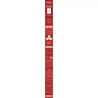 做多中国:中国未来的财富机遇与投资逻辑