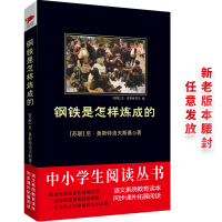 [M]钢铁是怎样炼成的-9787561348567