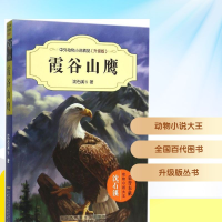 [M]霞谷山鹰-9787539786704