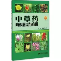 [M]中草药辨识图谱与应用-9787538186963