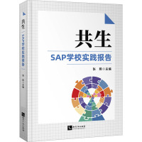 共生:SAP学校实践报告2020