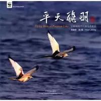 [M]平天飞羽-9787503864254