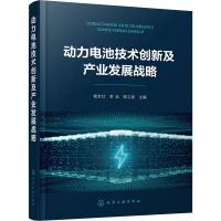 [友一个] 动力电池技术创新及产业发展战略 国内外动力电池现状与发展趋势 锂硫电池 全固态电池 动力电池研究生产科技工