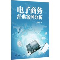 [N]电子商务经典案例分析-9787122358424