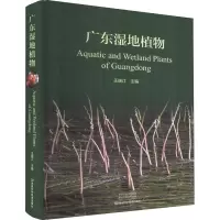 广东湿地植物