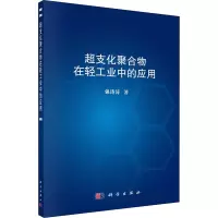 超支化聚合物在轻工业中的应用