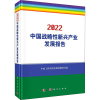 2022中国战略性新兴产业发展报告