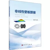非线性壁板颤振