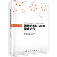 国际纳米科技发展战略研究