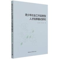 青少年社会工作实务型人才培养模式研究