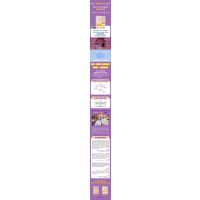 聪明却孤单的孩子:利用“执行功能训练”提升孩子的社交能力