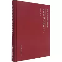 岩土工程热点问题解析-王长科论文选集(二)