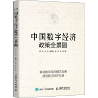 中国数字经济政策全景图