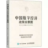 中国数字经济政策全景图