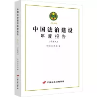 中国法治建设年度报告(2020)