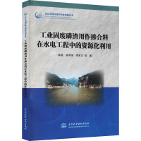 工业固废磷渣用作掺合料在水电工程中的资源化利用(长江治理与保护科技创新丛书)