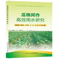 瓜棉间作高效用水研究