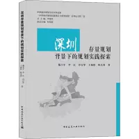 深圳存量规划背景下的规划实践探索/“中国城乡规划实施理论与典型案例”系列丛书第7卷