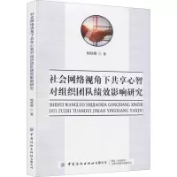 社会网络视角下共享心智对组织间团队绩效影响研究