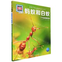 [N]蚂蚁和白蚁(了不起的建筑师珍藏版)(精)/德国少年儿童百科知识全书-9787516529034