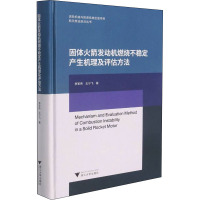 固体火箭发动机燃烧不稳定产生机理及评估方法